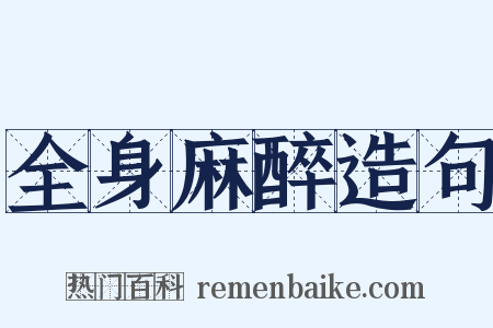 全身麻醉造句是什么意思的图片